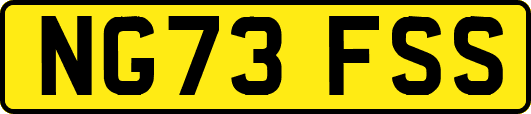 NG73FSS