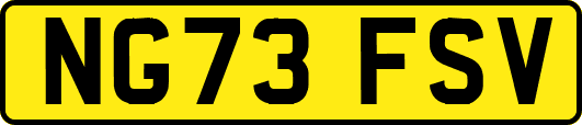 NG73FSV