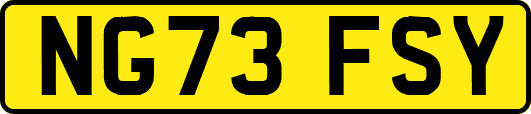 NG73FSY