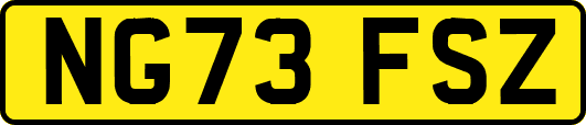 NG73FSZ