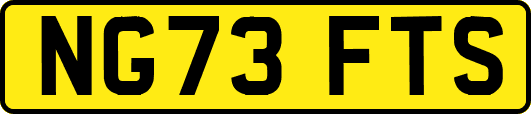 NG73FTS