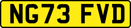 NG73FVD