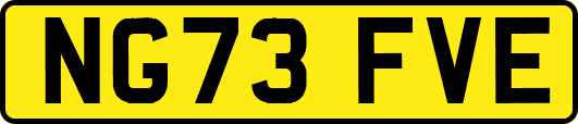 NG73FVE