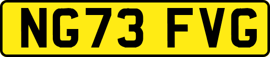 NG73FVG