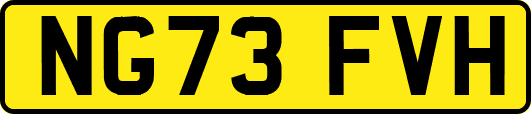 NG73FVH