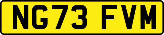 NG73FVM