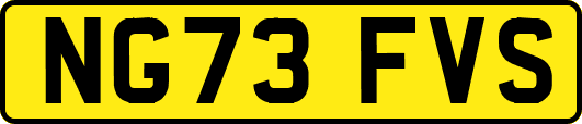 NG73FVS
