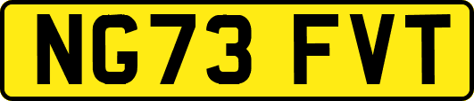NG73FVT