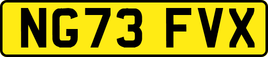 NG73FVX