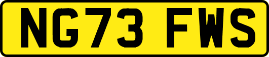 NG73FWS