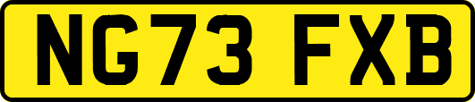 NG73FXB