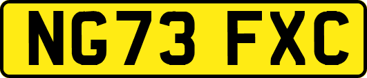 NG73FXC