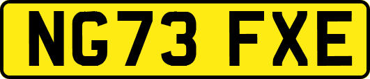 NG73FXE