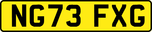 NG73FXG