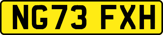 NG73FXH
