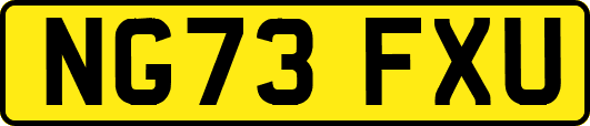NG73FXU