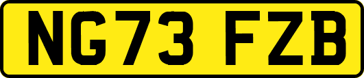 NG73FZB