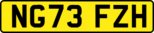 NG73FZH