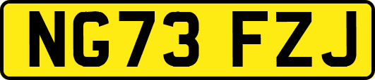 NG73FZJ