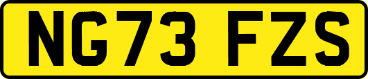 NG73FZS