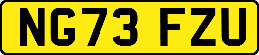 NG73FZU