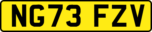 NG73FZV