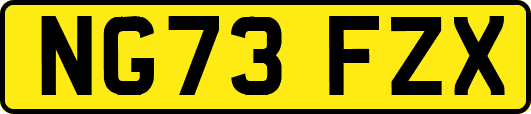 NG73FZX