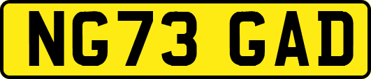 NG73GAD