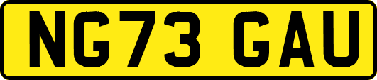 NG73GAU