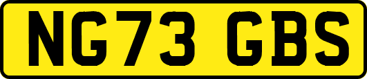 NG73GBS
