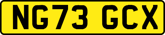 NG73GCX