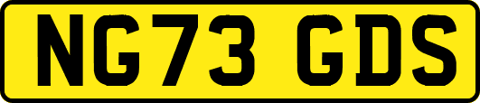 NG73GDS