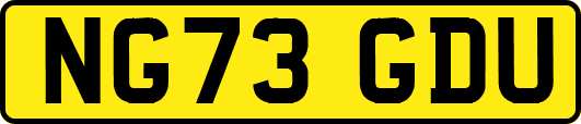 NG73GDU