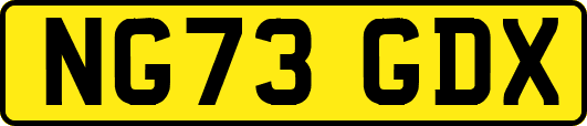 NG73GDX