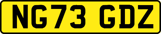 NG73GDZ