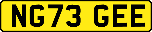 NG73GEE