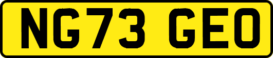 NG73GEO