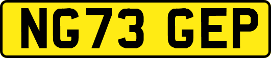 NG73GEP