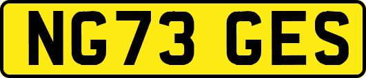 NG73GES