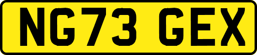 NG73GEX