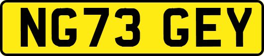 NG73GEY