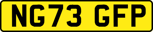 NG73GFP