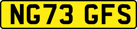 NG73GFS