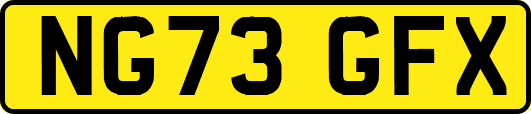 NG73GFX