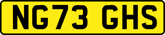 NG73GHS