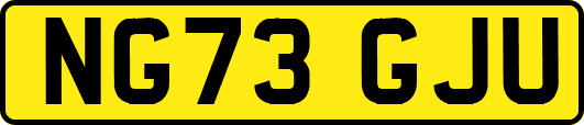 NG73GJU