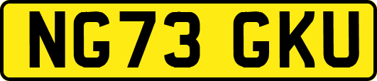 NG73GKU