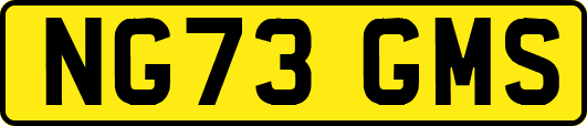 NG73GMS