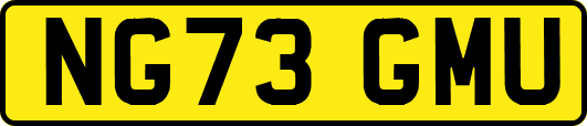 NG73GMU