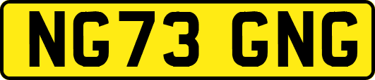NG73GNG